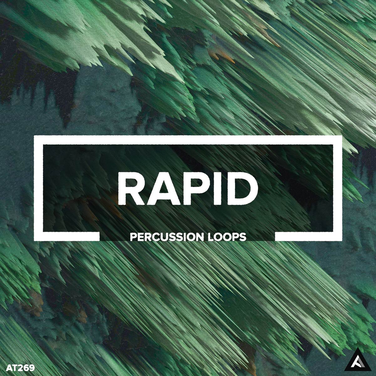 Rapid // Percussion Loops